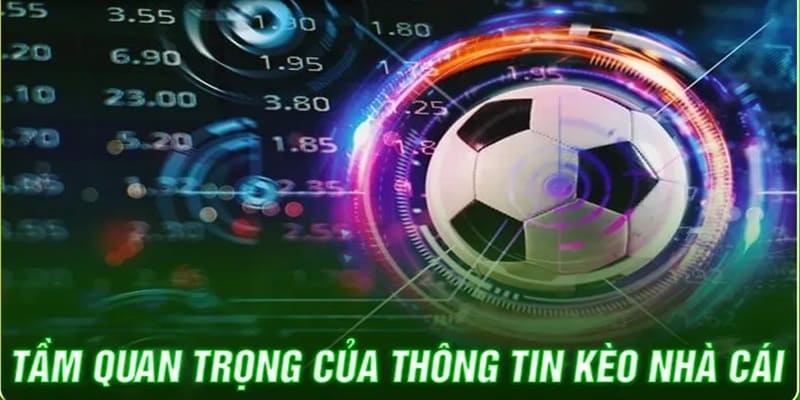 Tầm quan trọng của kèo nhà cái đối với người tham gia 