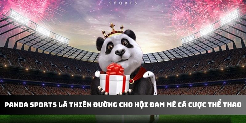 Panda Sports là thiên đường cho hội đam mê cá cược thể thao